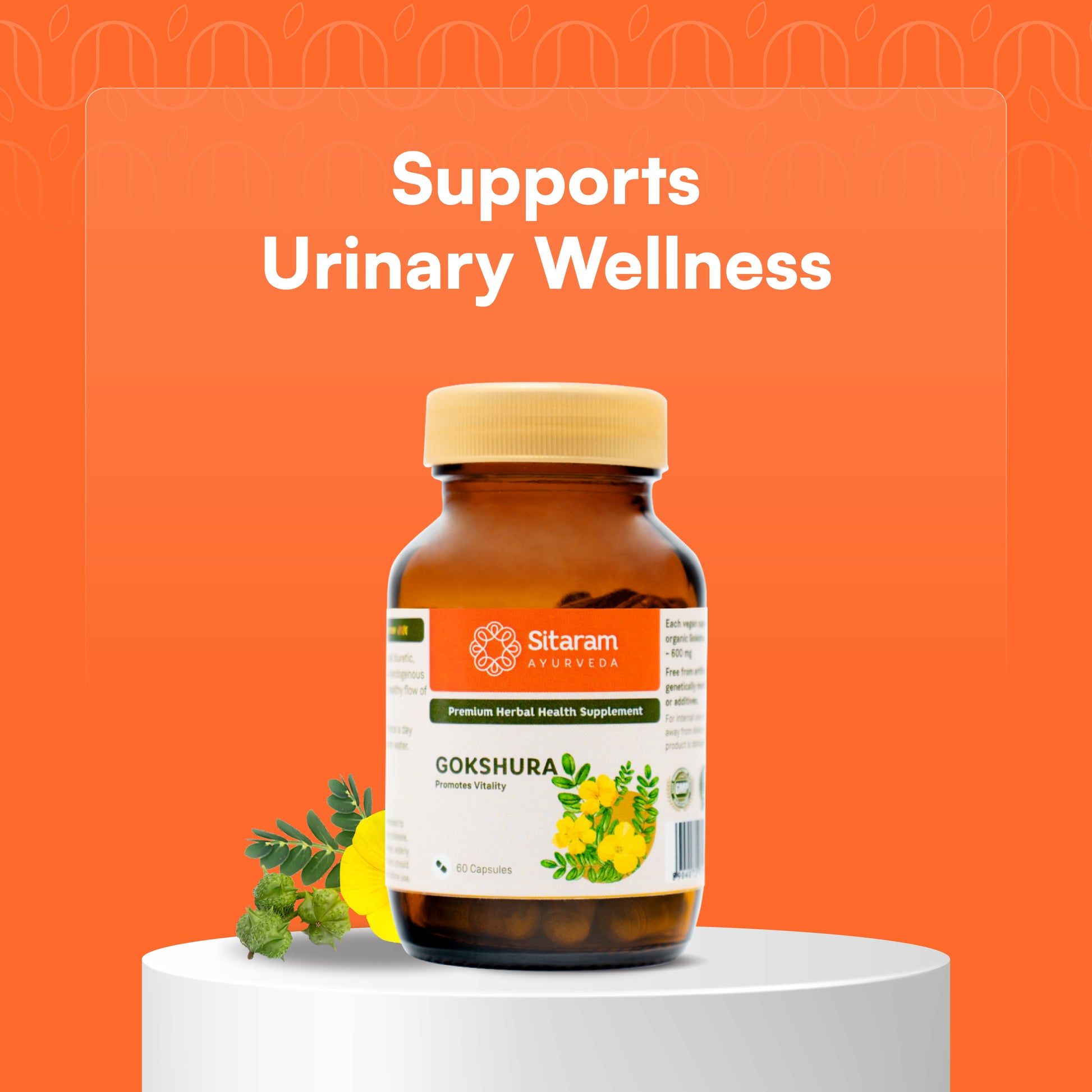 GOKSHURA CAPSULES 60 NOS