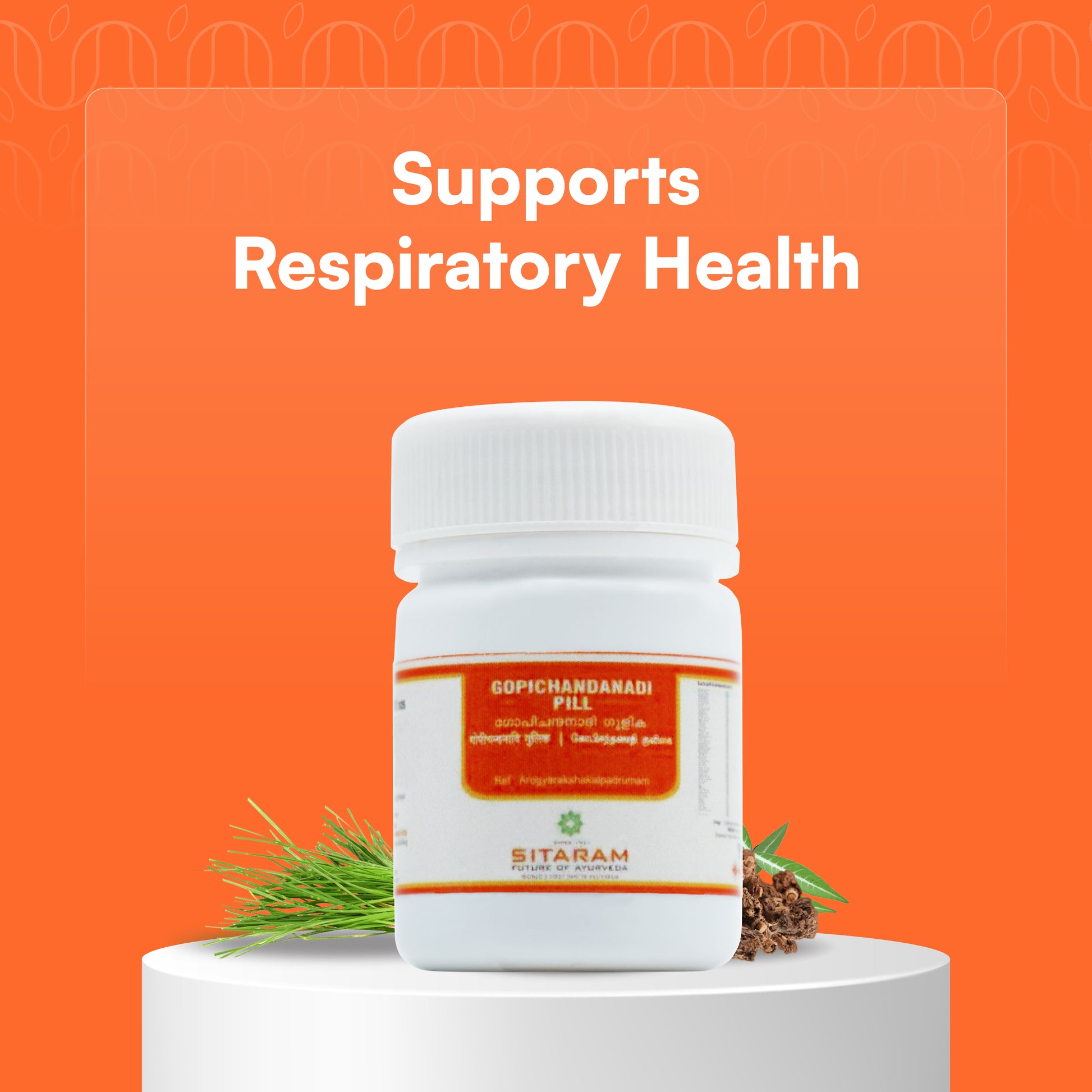 GOPICHANDANADI GULIKA 100 NOS