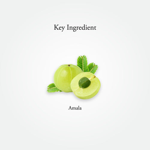 AMLA | 60 Capsules