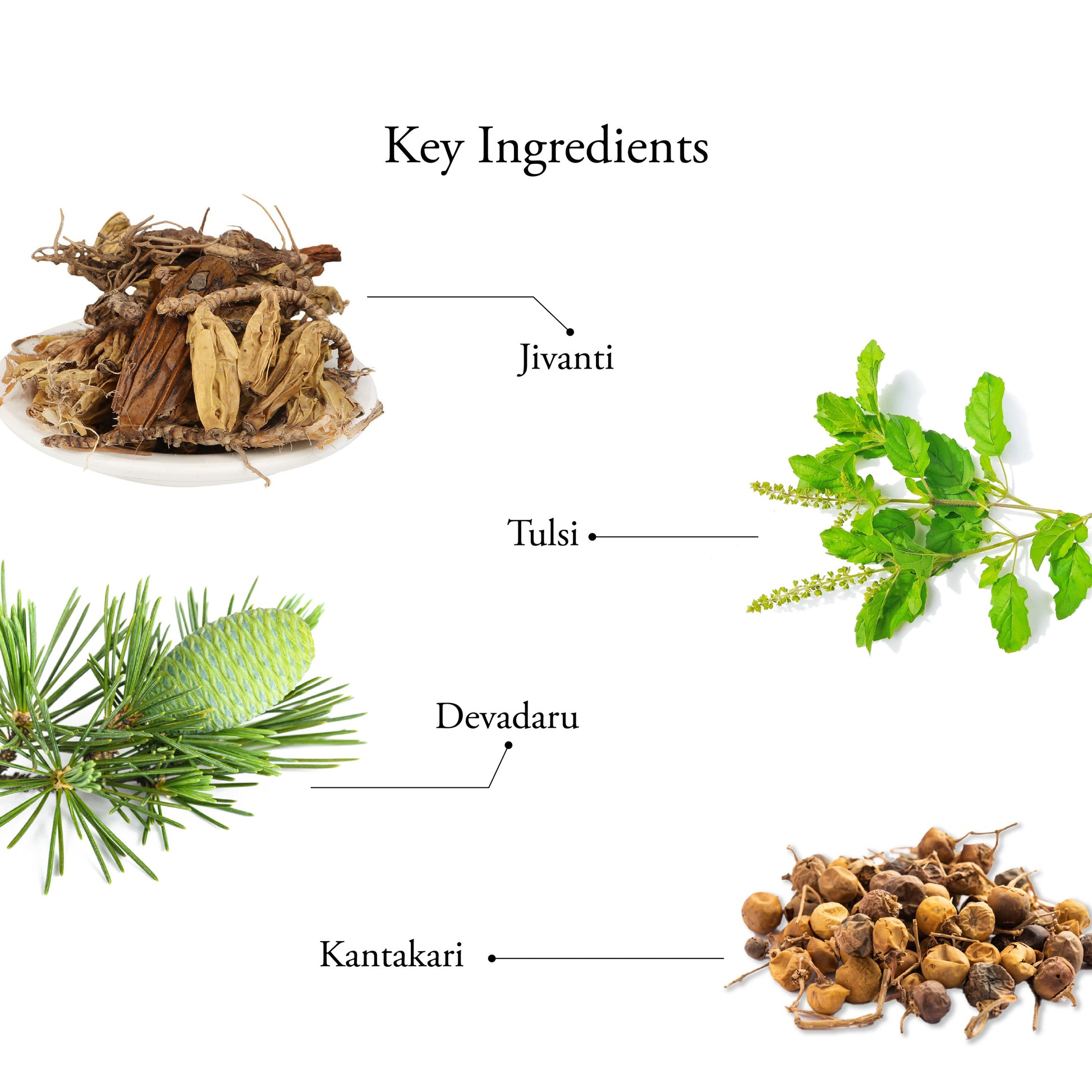 ANU TAILAM | ANU THAILAM 10 ML