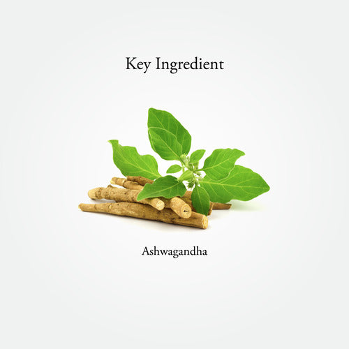 ASHWAGANDHA | 60 Capsules - Sitaram Ayurveda Store