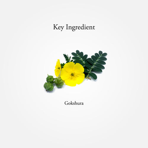 GOKSHURA CAPSULES 60 NOS