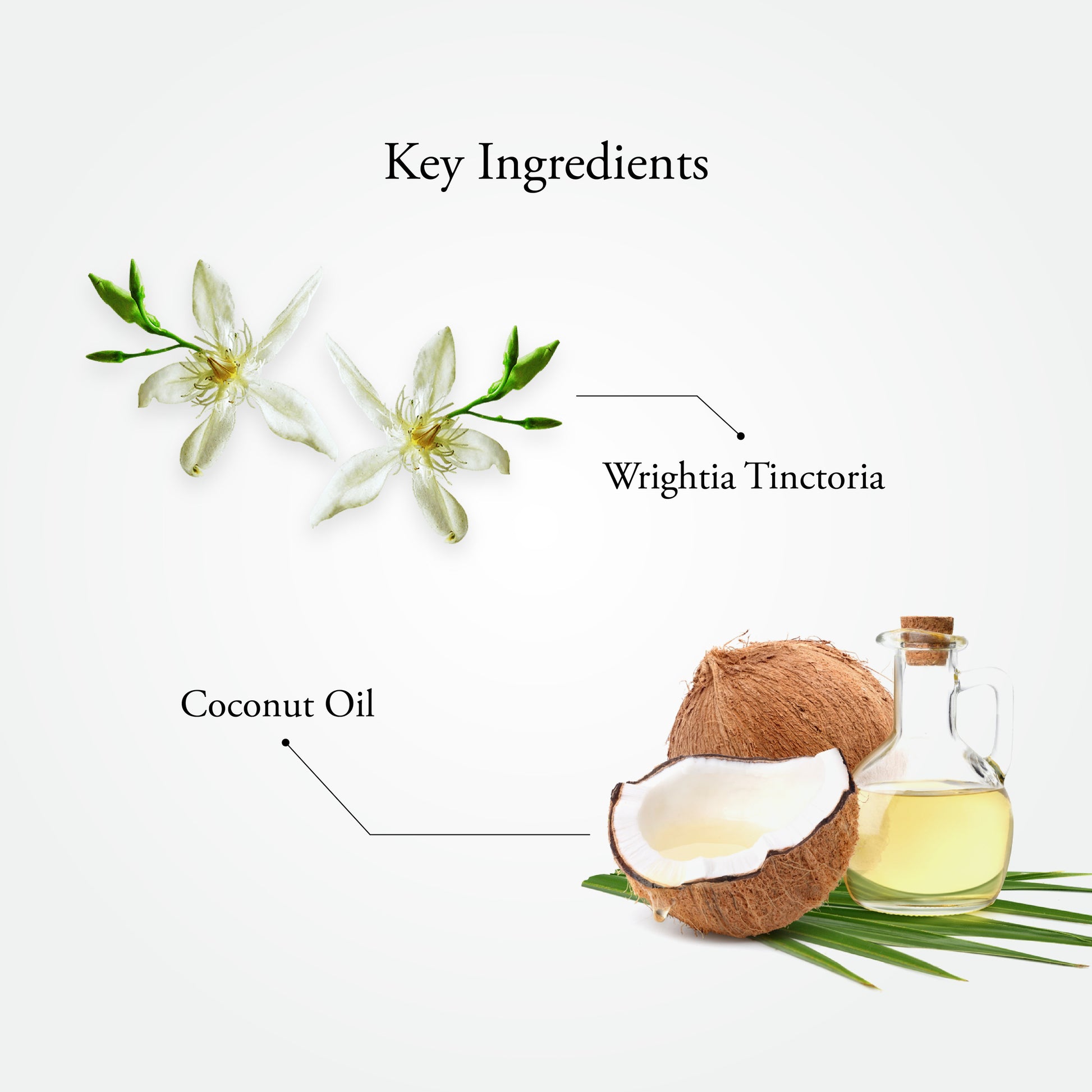 PSORA HERB OIL 100 ML