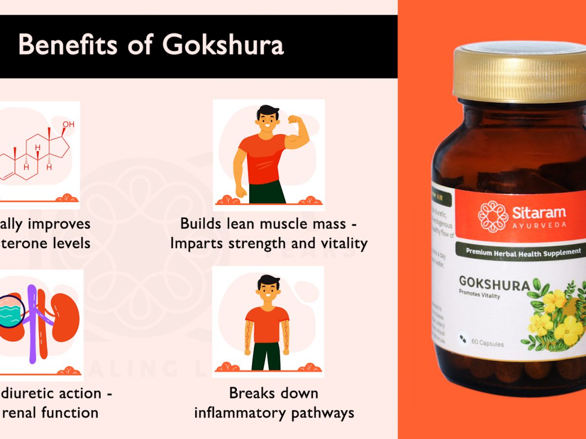 Gokshura Churna Benefits Uses Method Dosage And Side Effects